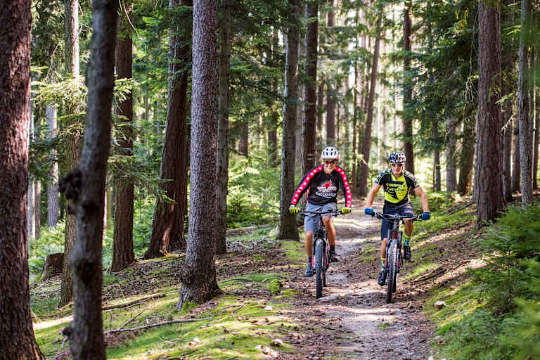 Mountainbike versus E-Bike