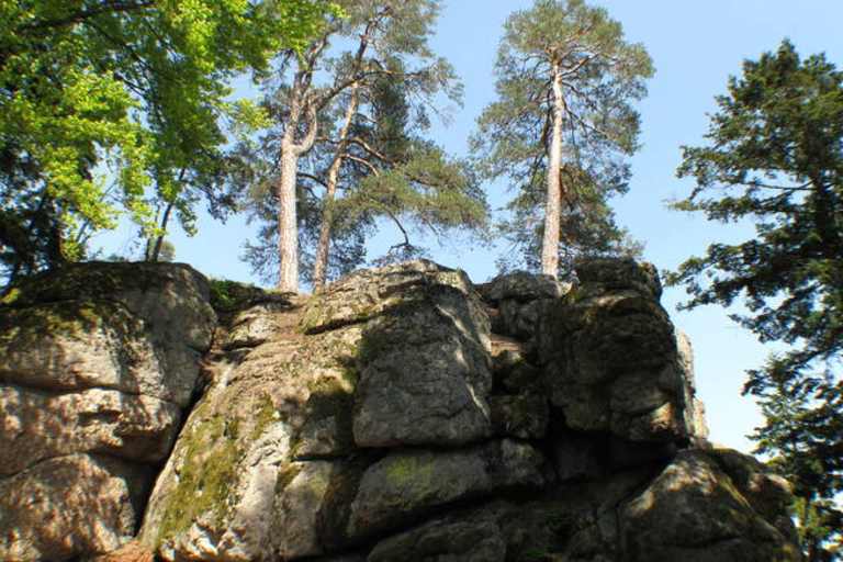 Die Natur am Kühstein im Böhmerwald erleben.