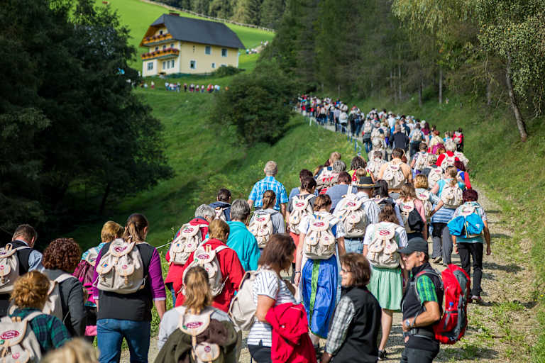 Zurück zum Ursprung: Gemeinsam Wandern im mystischen Mühlviertel