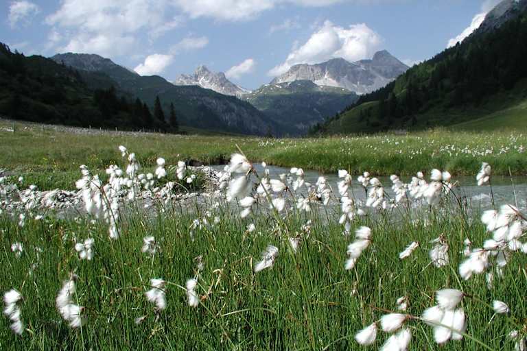 Wandern im Naturpark Riedingtal