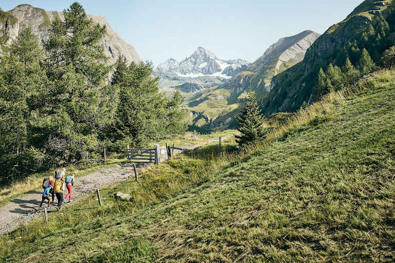 Vom Osttiroler Ködnitztal hat man einen besonders schönen Blick auf den 3.798 Meter hohen Großglockner.