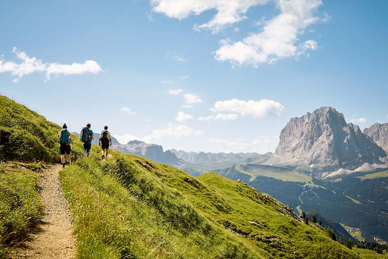 Panorama Grödnertal