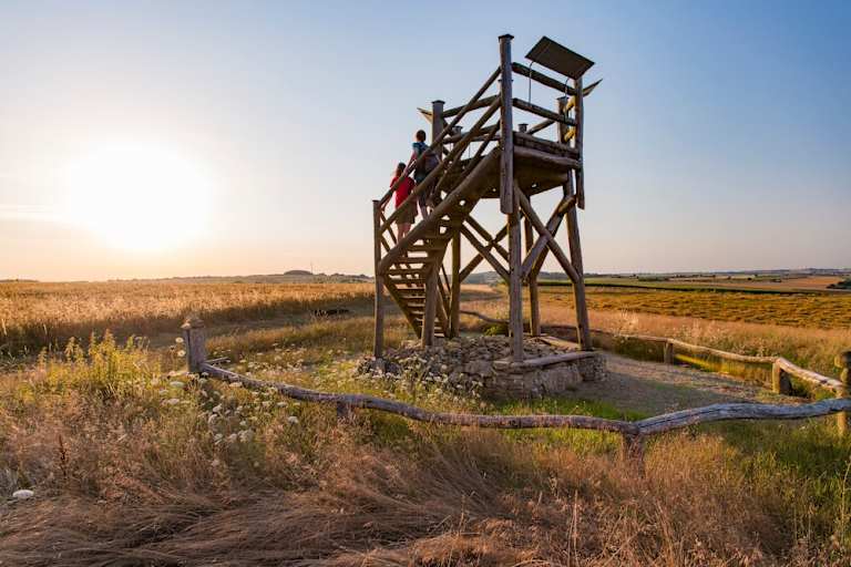 Der Aussichtsturm am Hirnberg