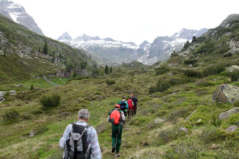 Bergwaldprojekts Schwarzensteinkees