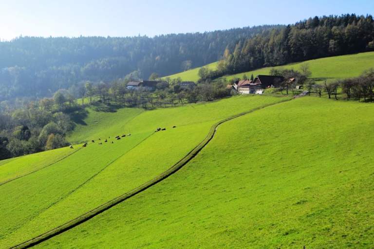 Grimmenstein-Wanderung