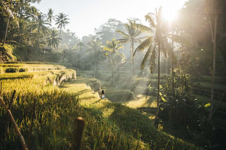 Tropen-Idylle in Indonesien