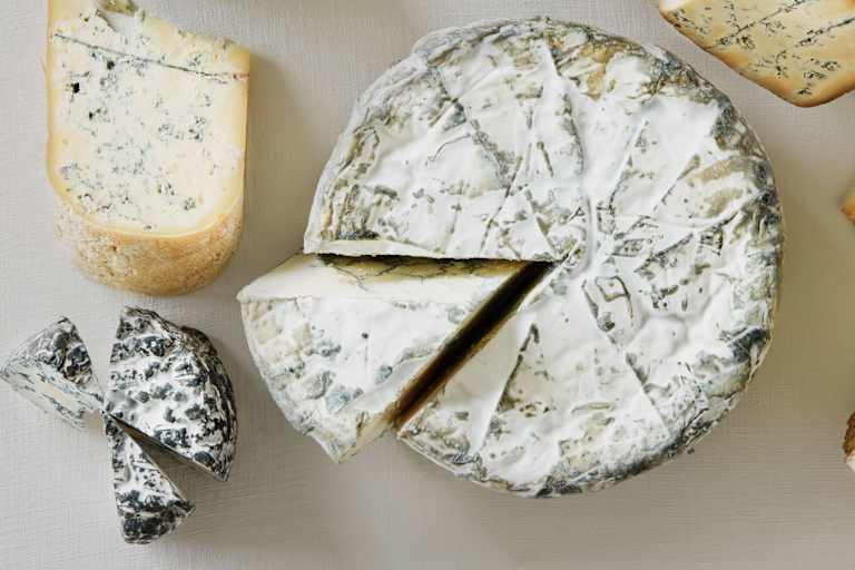 Bleu de Termignon aus Savoyen