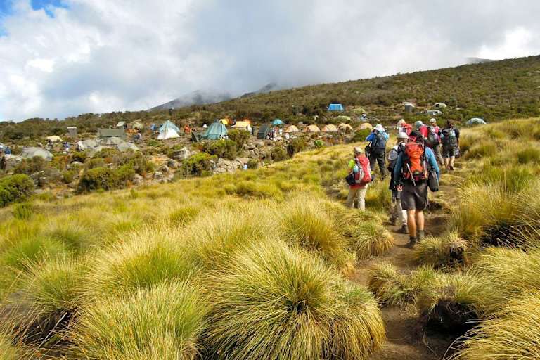 KIlimanjaro Expedition