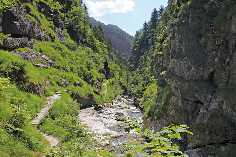 In den Chiemgauer Alpen erwartet dich die familienfreundliche Wanderung durch die Weißbachschlucht.