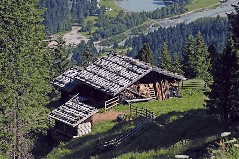 Falbesoner Nockalm – eine gemütliche Wanderung durch die Naturlandschaft.