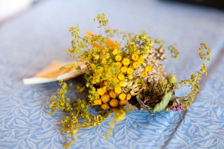 Kräuter konservieren