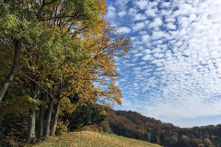 Bunte Wanderungen für den Herbst