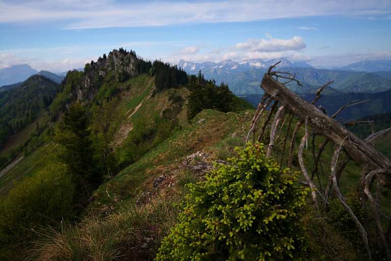 Langlackenmauer im Reichraminger Hintergebirge