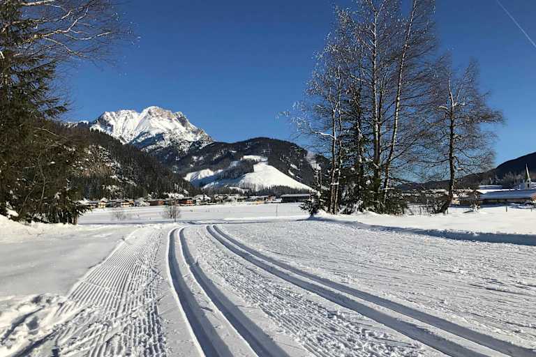 Bestens gespurte Loipen in Hochfilzen