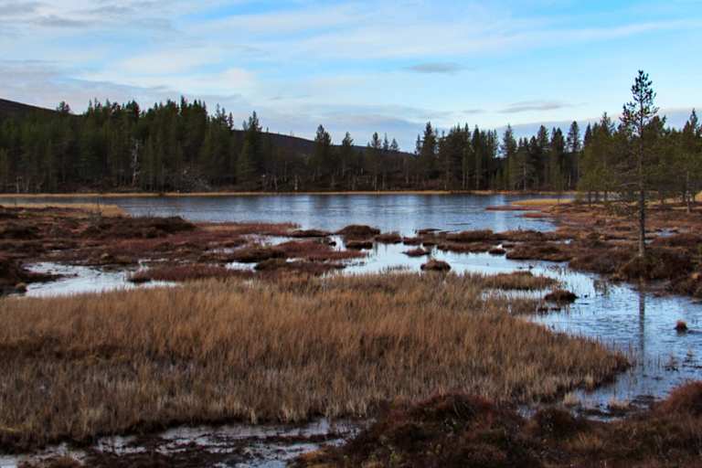 Wandern in Lappland