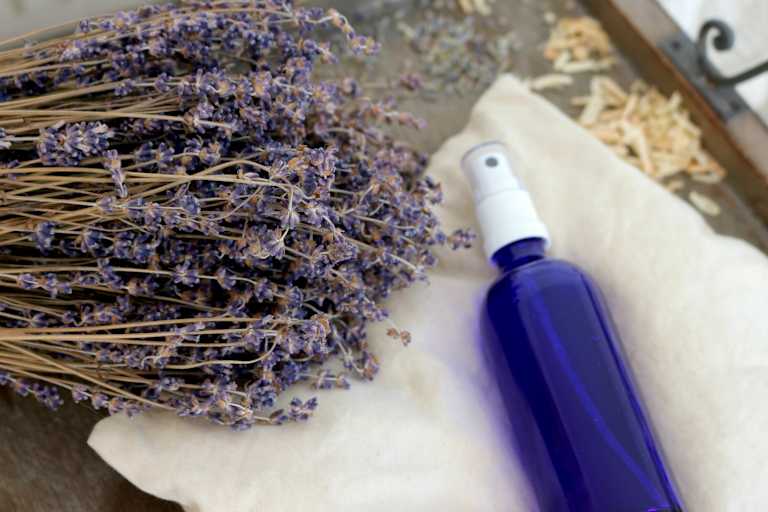 Lavendelöl mit firschem Lavendel