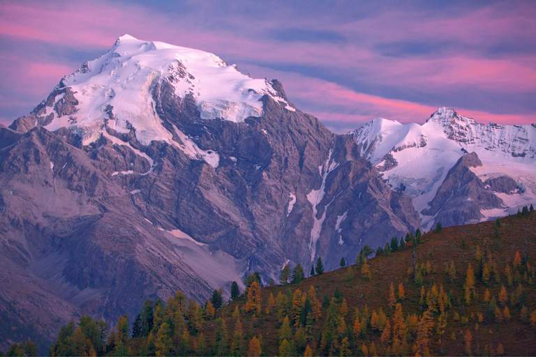 Ortler im Abendlicht