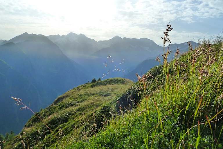 Morgenstimmung am Berg