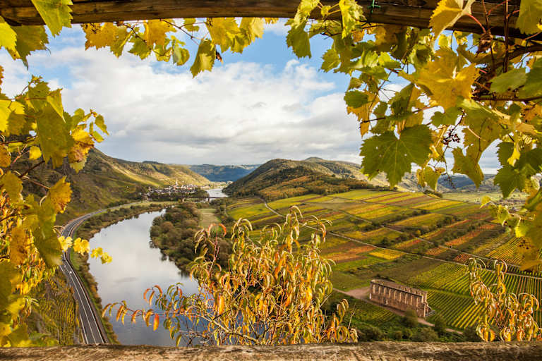 Die Moselschleife in Rheinland-Pfalz im Herbst
