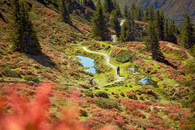 Hacklberg Trail mit dem Mountainbike