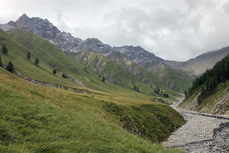 Schweizerischer Nationalpark