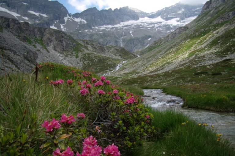 Das Zillertal - hier mitten im Hochgebirgsnaturpark Zillertaler Alpen