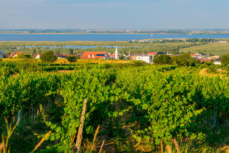 Mörbisch am Neusiedlersee
