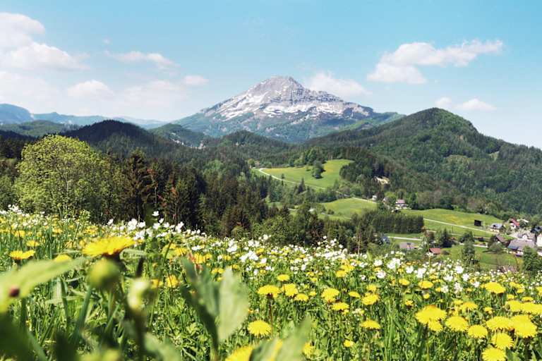 Der Ötscher im Frühling