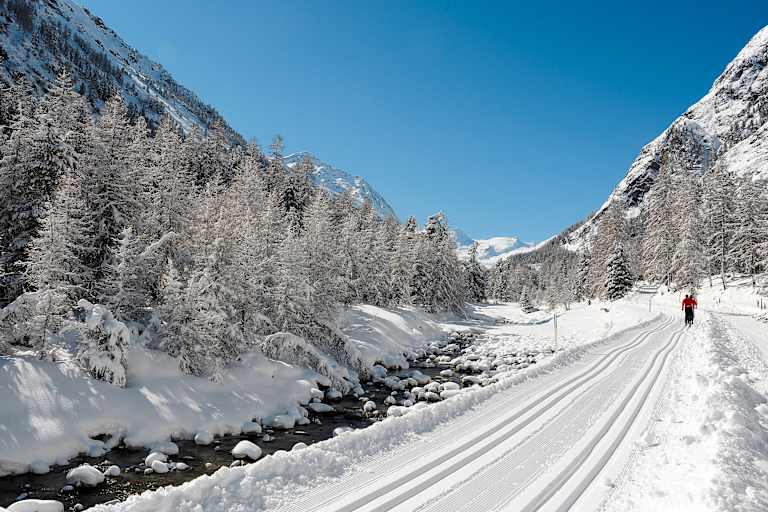 Langlaufen in Pontresina