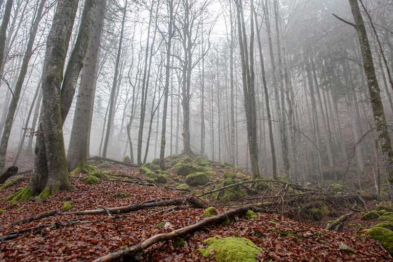 Höhlen-Expedition in den Weißenbacher Mauern
