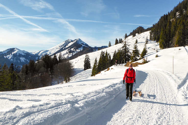 Rodeln in Oberaudorf