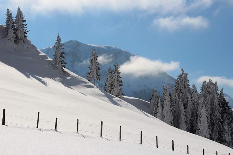 Mit Schneeschuhen durch den Winter