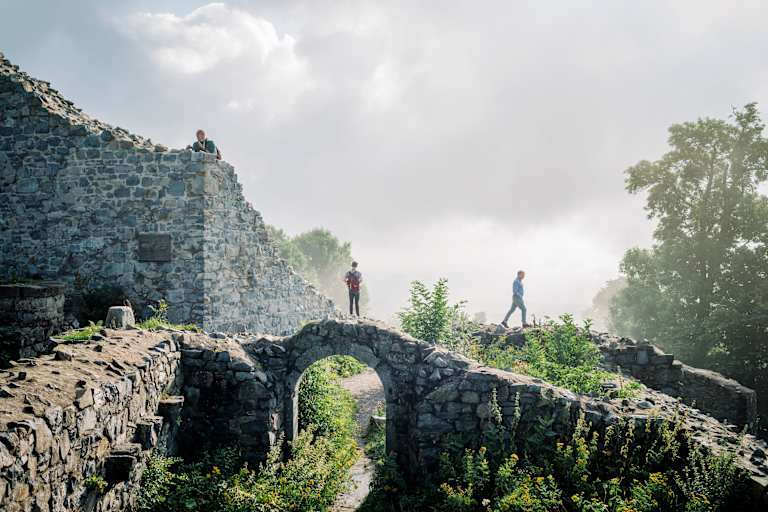 Von Vulkanen, sieben Hügeln und Drachenfelsen: das Siebengebirge