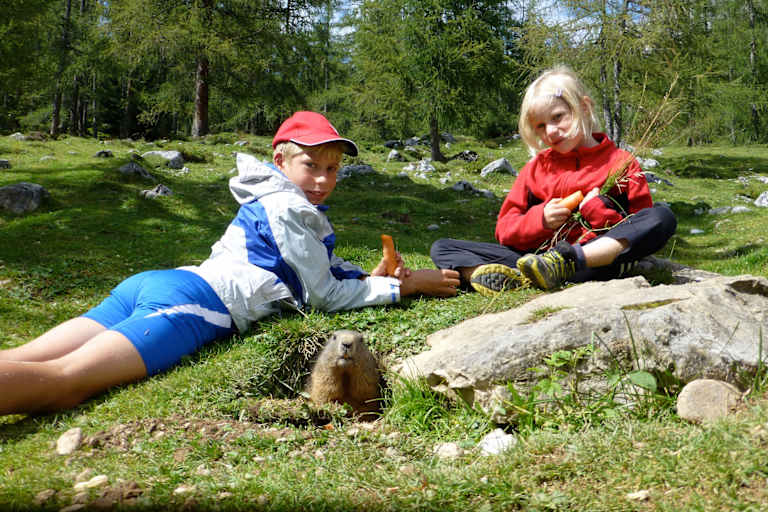 Murmeltierzeit: Wanderungen mit Pfiff