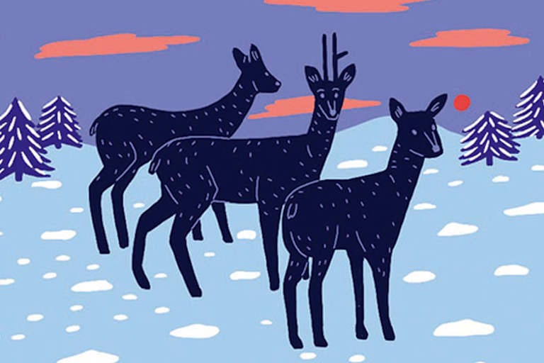 Den Lebensraum von Tieren gilt es zu schützen