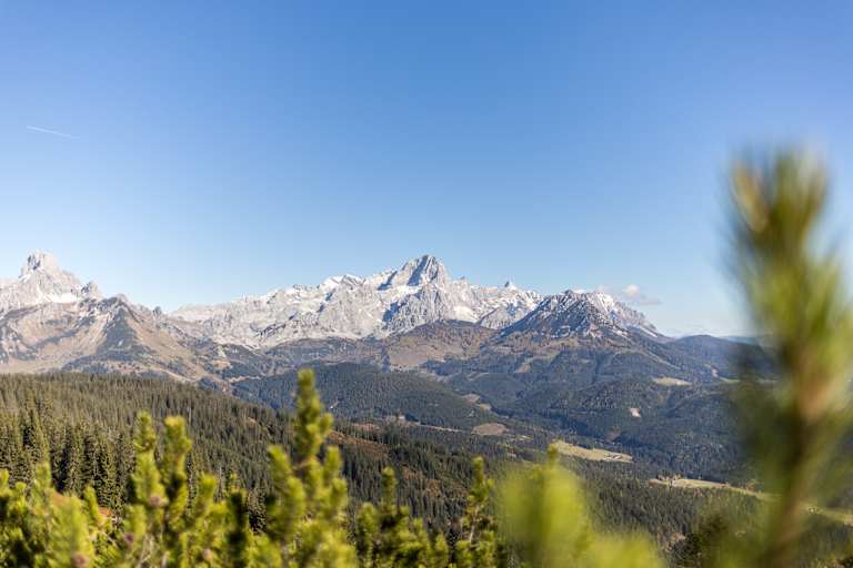 Blick vom Gerzkopf auf das Dachsteinmassiv