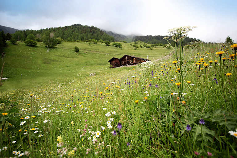 Wallis Galmihornhütte