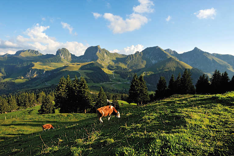 Schweiz Naturpark Gantrisch im Kanton Bern