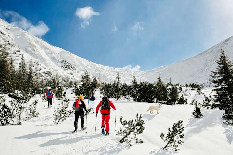 Rottenmanner und Wölzer Tauern