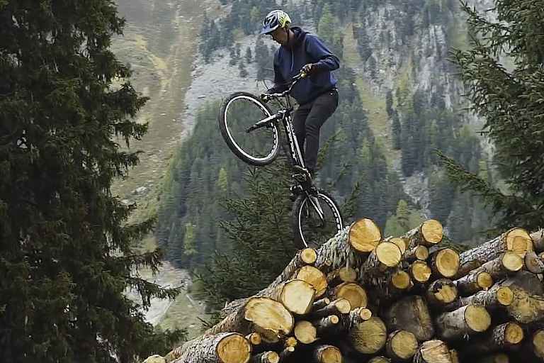 Sehnsuchtsort Wald: 8 Wanderungen