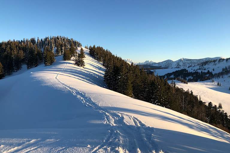 Feierabendrunde auf´s Zwölferhorn