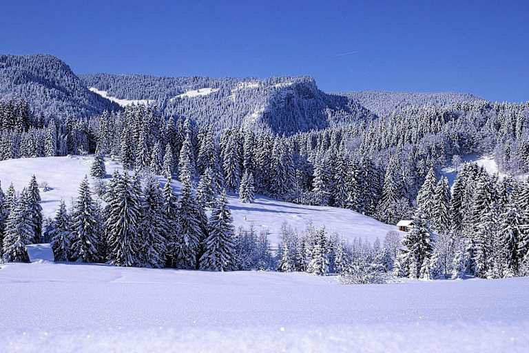 Hörnergruppe: Die verschneiten Allgäuer Vorberge in Bayern