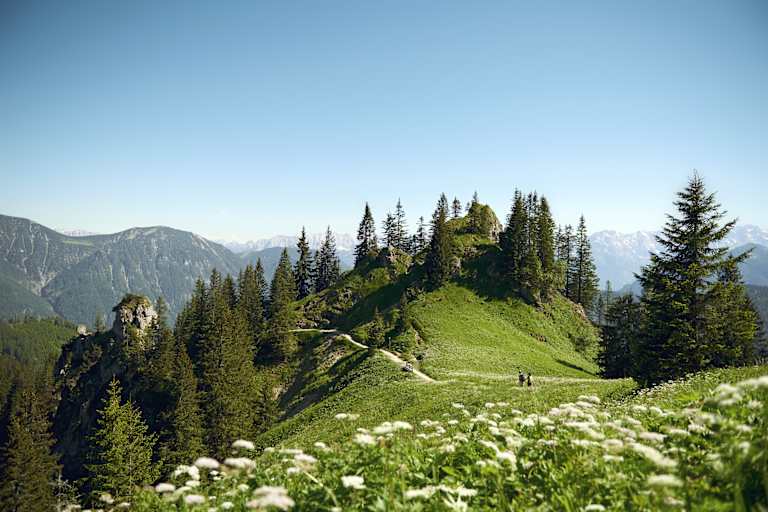 Ammergauer Bergwelten
