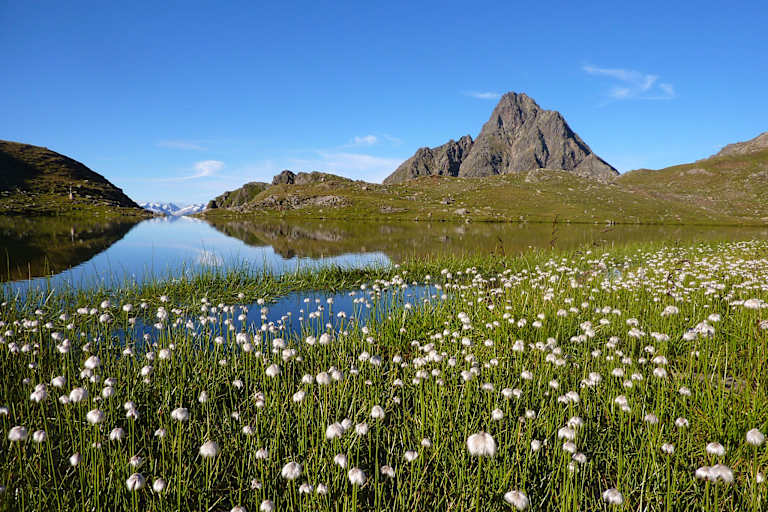 Lasörling Höhenweg in Osttirol: Am Arnitzsee im Virgental
