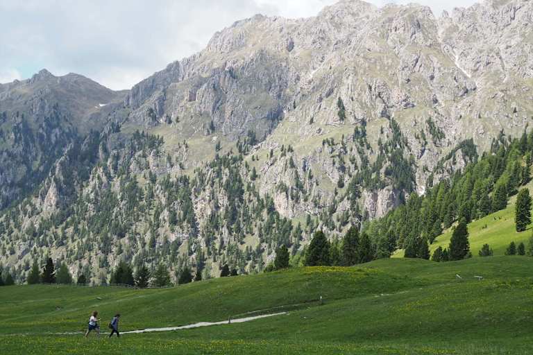 Der Aufstieg zum Zendler Kofel beginnt gemütlich...