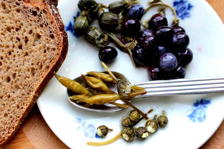 Selbstgemacht: Bärlauchblütenknospen als falsche Kapern