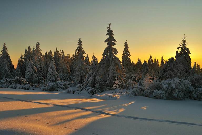 Schwarzwald im Winter: Baiersbronn in Baden-Württemberg