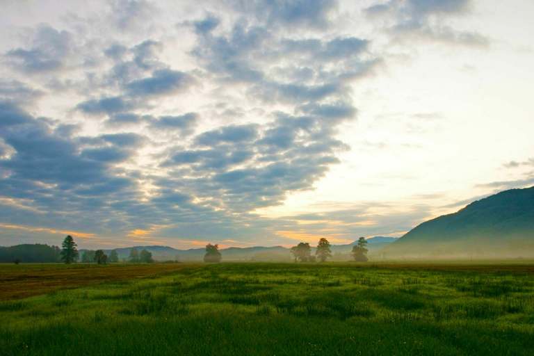 Bergener Moos im bayerischen Chiemgau