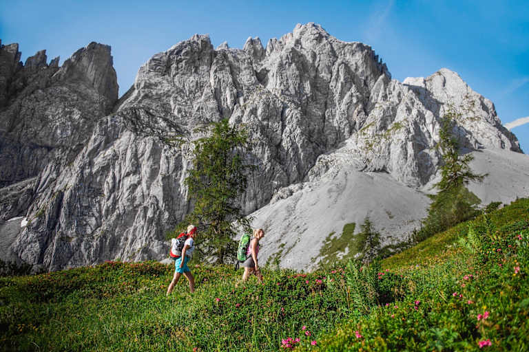 Zwei Bergsteiger am Weg zum Gipfel.