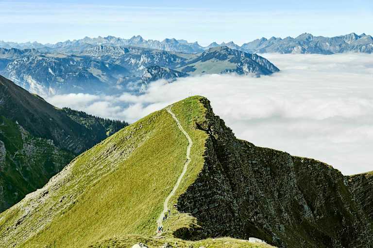 Wandern Niesen Schweiz Bergwelten